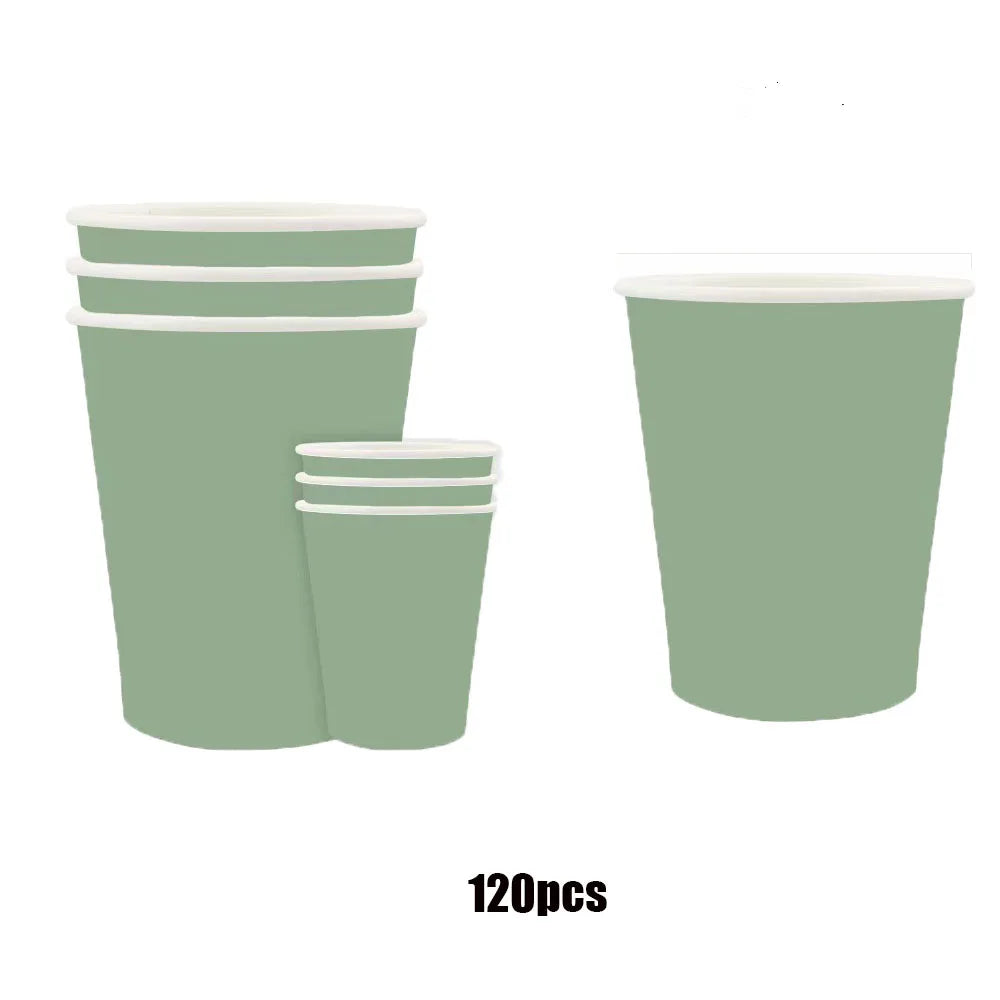 Disposable Dinnerware Set