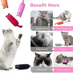 Catnip Plush Toy For Cats