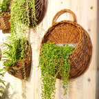 Hand Made Rattan Wall Plant Hanger