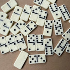 28 Pieces Domino Set