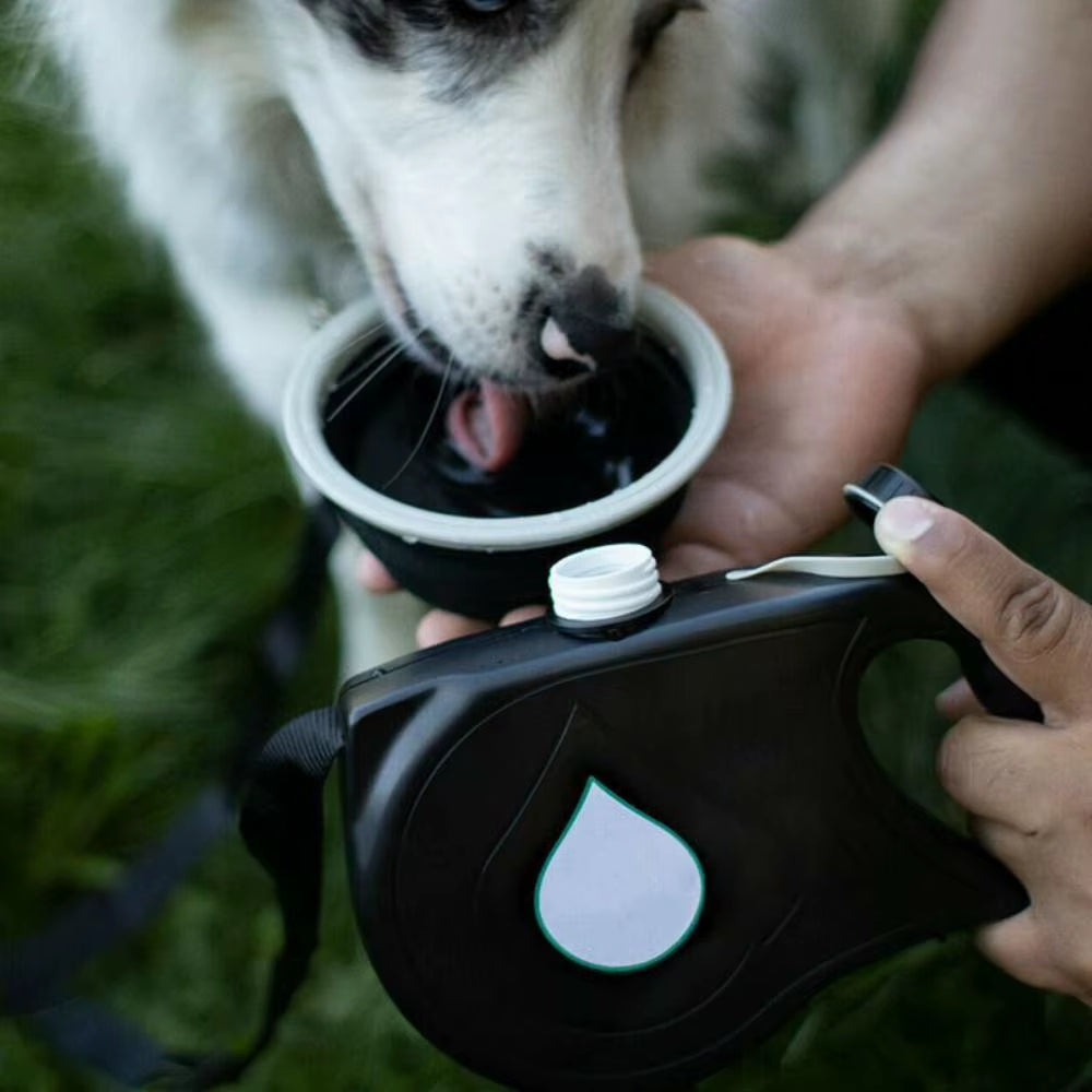 Detachable Retractable Dog Leash Builtin Water Bottle Plastic Handheld Dog Leash with Water Bowl Waste Bag Container Training
